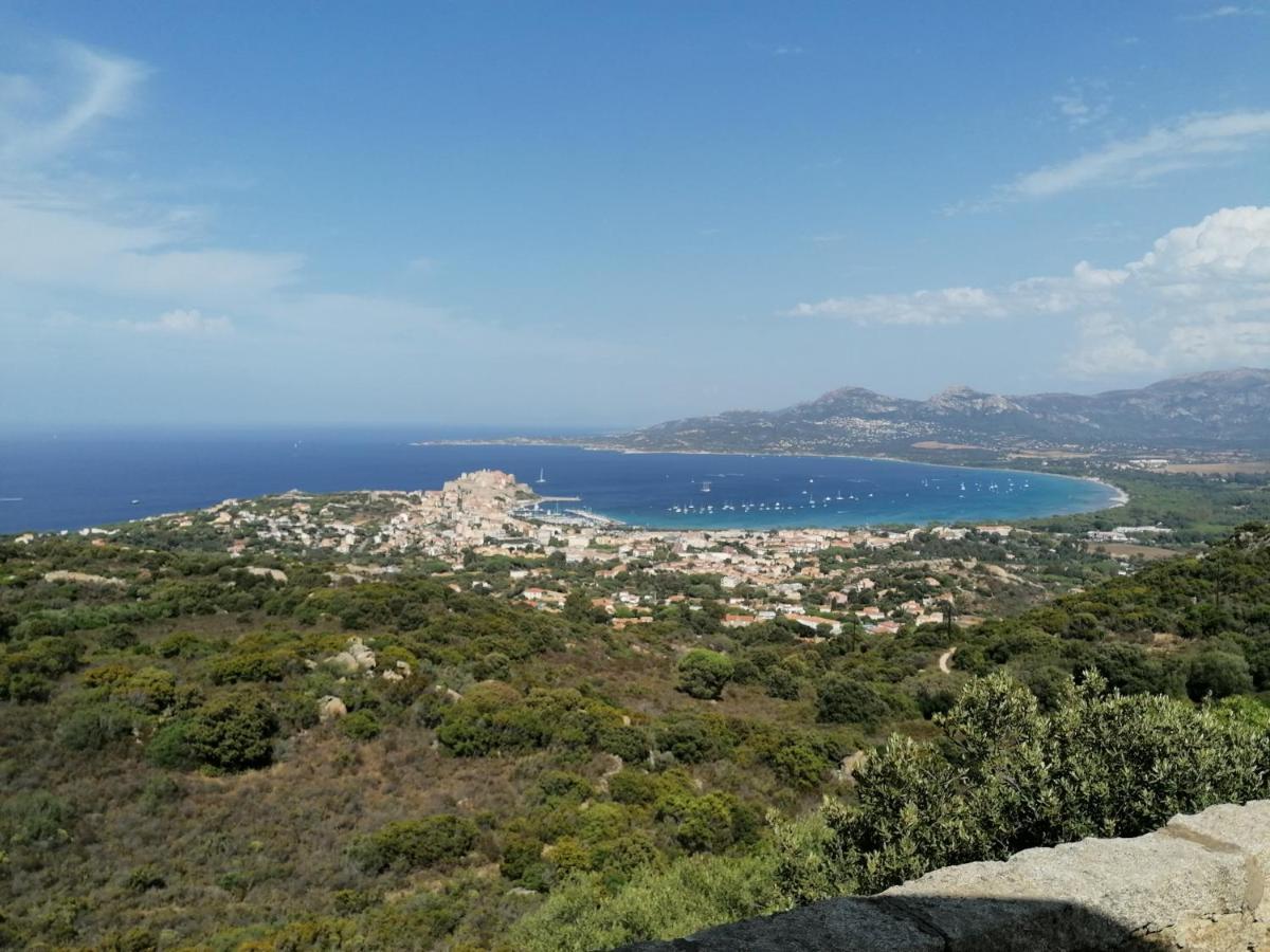 Appartement Residence Les Eucalyptus LʼÎle-Rousse 외부 사진